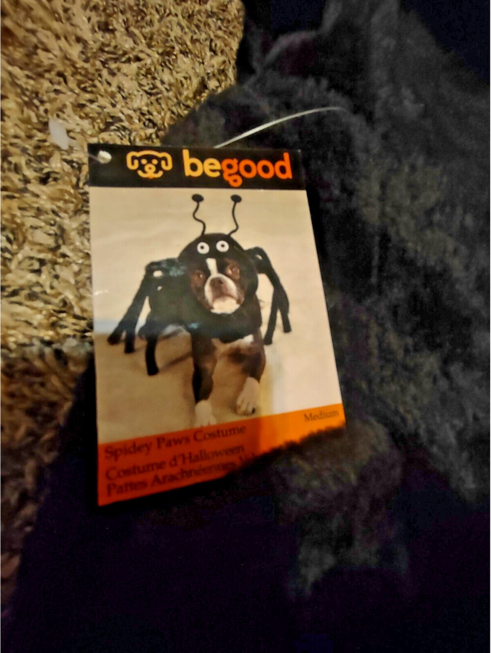 Halloween Animal Costume Spider NWT Medium